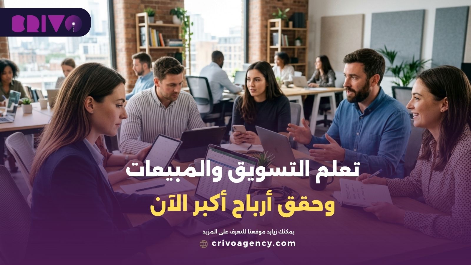 التسويق والمبيعات